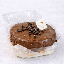 Crispy Chocolate Bento