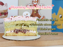 5inch Blooming Rose Pistachio