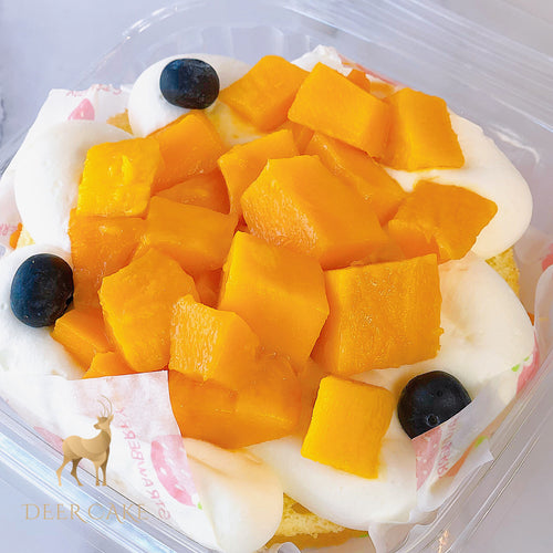Mango Bento