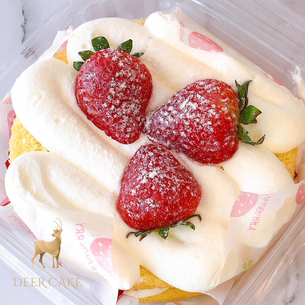 Strawberry Bento